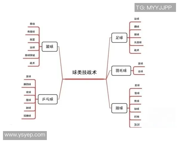 南京篮球队的速度之谜：揭开巨献背后的训练与战术秘密