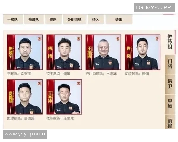 广州排球队在精英赛中的速度优势与战术分析