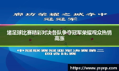 堵足球比赛精彩对决各队争夺冠军荣耀观众热情高涨