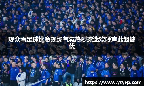 观众看足球比赛现场气氛热烈球迷欢呼声此起彼伏