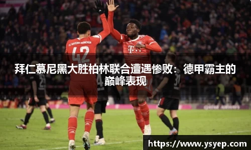 mk体育官网入口