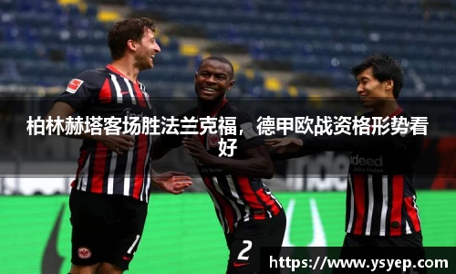 mk体育