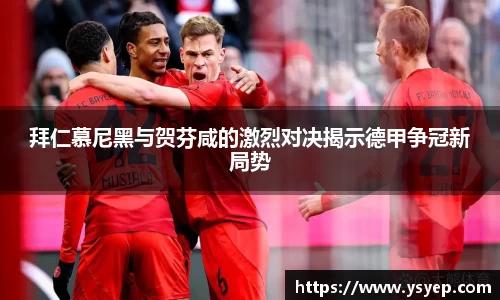mk体育官网入口