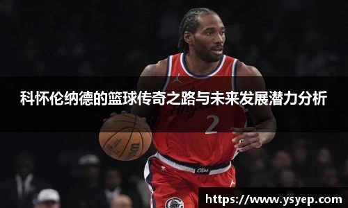 mk体育官网入口
