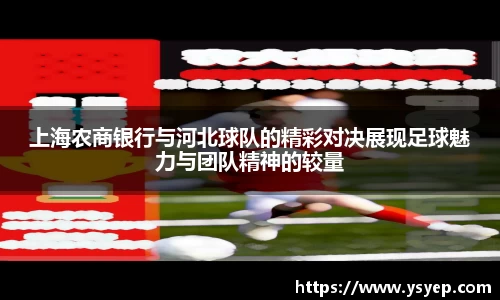 体育