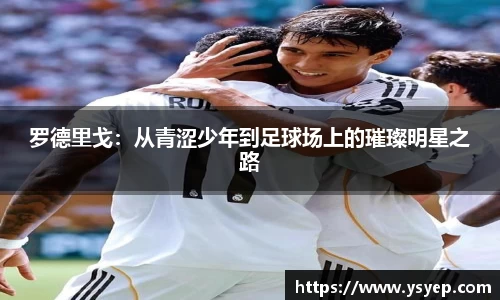mk体育官网