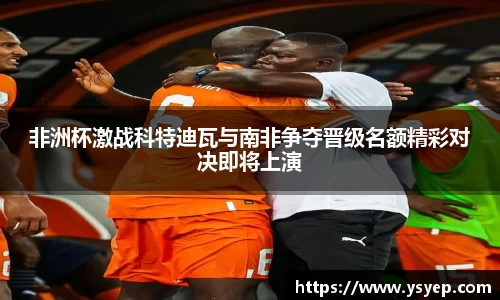 体育