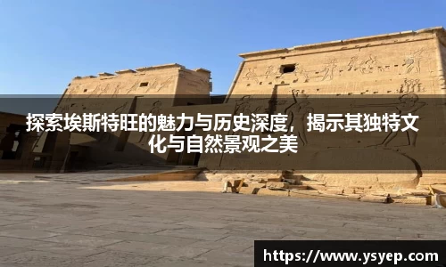 mk体育官网
