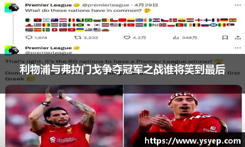 mk体育官网入口
