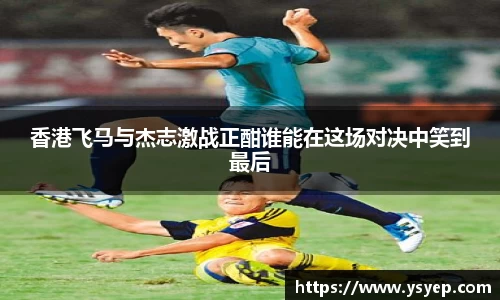 mk体育