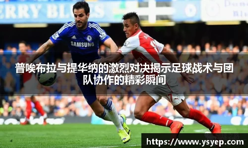 mk体育