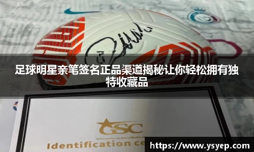 mk体育官网